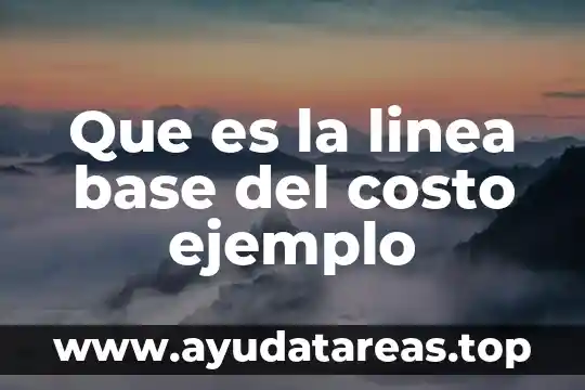 Que es la linea base del costo ejemplo