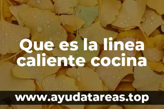 Que es el vastago de agua caliente regadera 6 Que es la linea caliente cocina