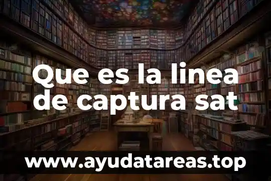 Que es una factura digital sat 8 Que es la linea de captura sat