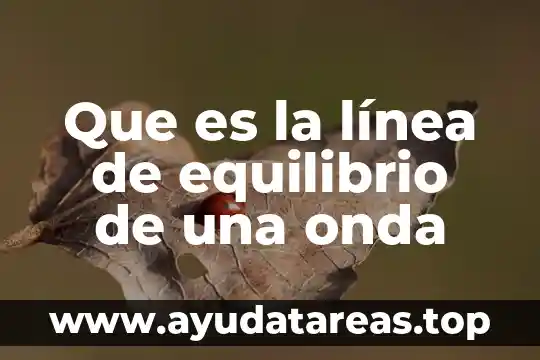 Qué es el número de onda 5 Que es la línea de equilibrio de una onda