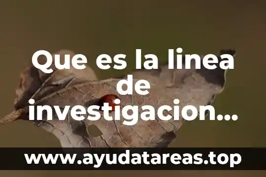 Que es la reputacion en linea 6 Que es la linea de investigacion en una tesis