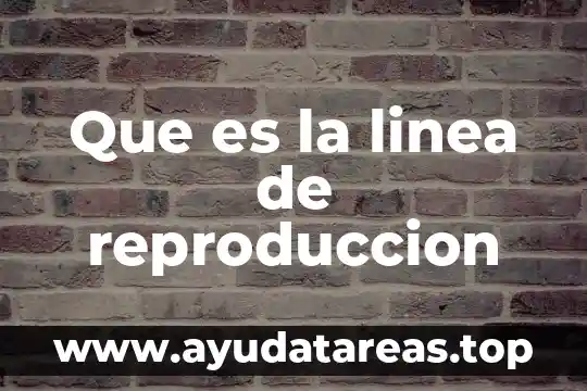 Que es sanidad y reproducción animal 4 Que es la linea de reproduccion