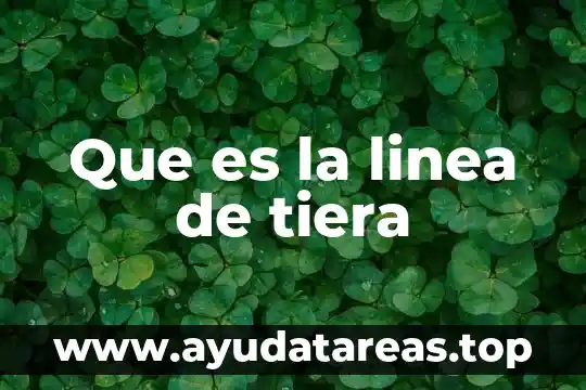 Que es una familia lexica de flor 7 Que es la linea de tiera