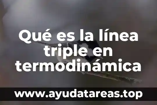 Qué es legalidad definición 7 Qué es la línea triple en termodinámica