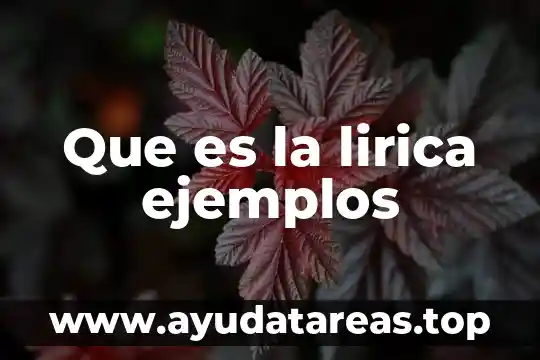 Que es poesia lirica su definición concepto y significado 7 Que es la lirica ejemplos