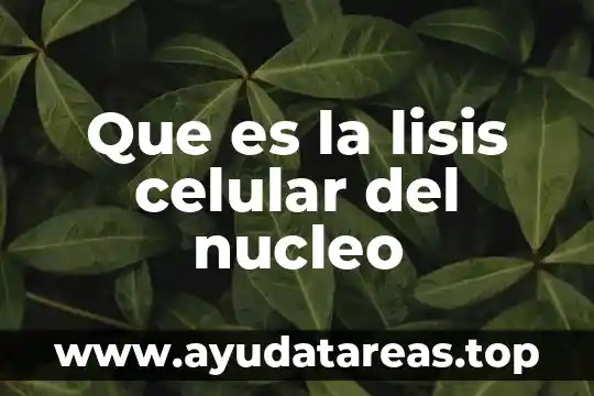 Que es support en celular 3 Que es la lisis celular del nucleo