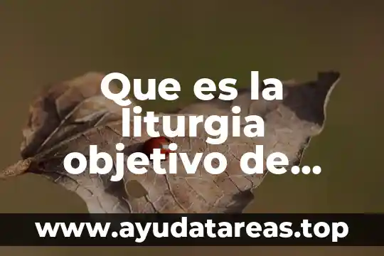 Que es la liturgia objetivo de nuestra clase
