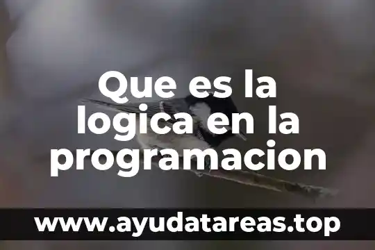 Que es la logica en la programacion
