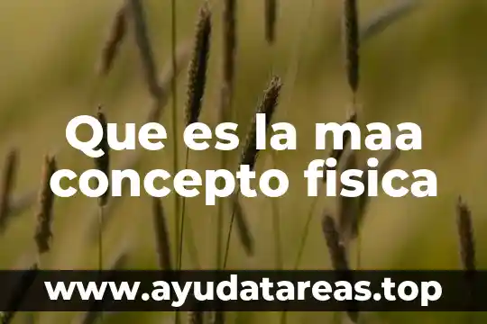 Que es la maa concepto fisica