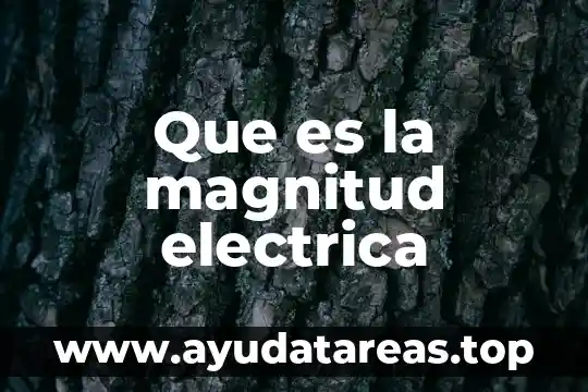 Qué es la distorsión de una señal eléctrica 6 Que es la magnitud electrica