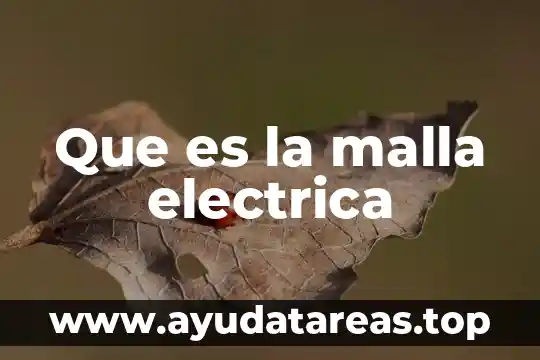 Que es la malla electrica