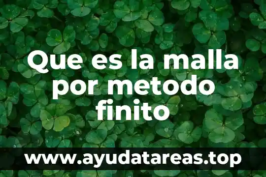 Que es ser finito 3 Que es la malla por metodo finito