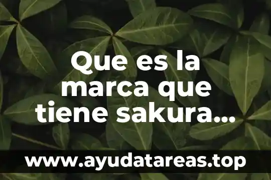 El apellido de marca que es 7 Que es la marca que tiene sakura en la frente