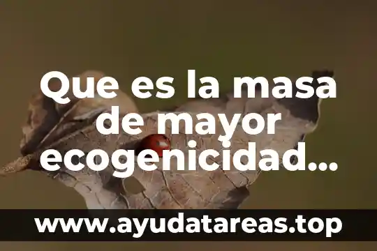 Que es un diagrama de masa aceleracion 4 Que es la masa de mayor ecogenicidad sin doppler color