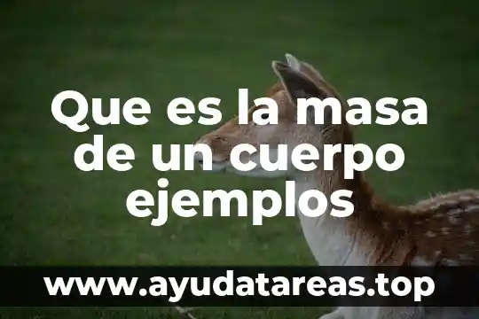 Qué es un número capicúa 3 Que es la masa de un cuerpo ejemplos