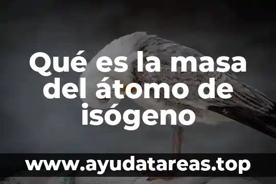 Qué es porcentaje de masa 8 Qué es la masa del átomo de isógeno