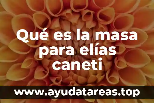 Qué es la masa para elías caneti