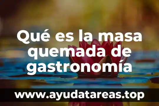 Que es la masa inercial en la fisica 6 Qué es la masa quemada de gastronomía