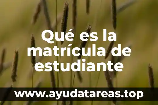 Que es ser un estudiante integro 3 Qué es la matrícula de estudiante