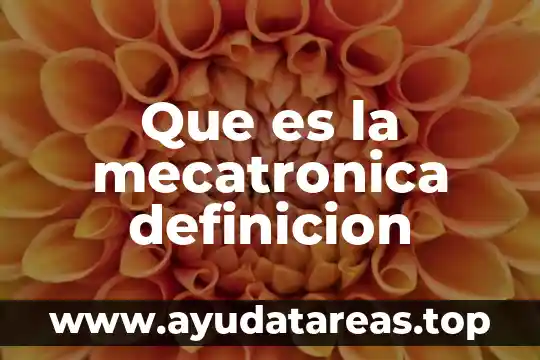 Que es la mecatronica definicion