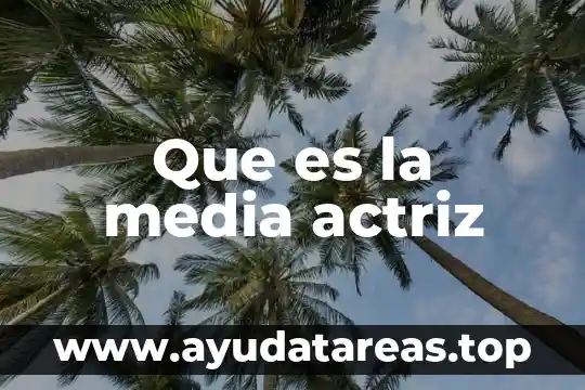 Que es efly media cuautla 5 Que es la media actriz