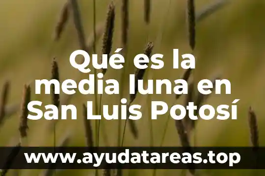 Que es lo tradicional de san luis comida 4 Qué es la media luna en San Luis Potosí