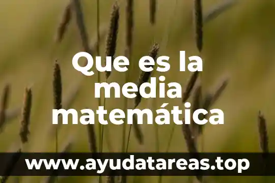 Que es efly media cuautla 6 Que es la media matemática