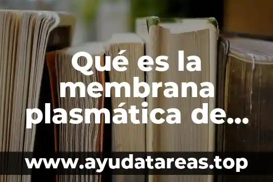 Qué es la membrana de una célula 8 Qué es la membrana plasmática de la célula animal