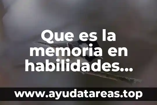 Que es la memoria en habilidades directivas