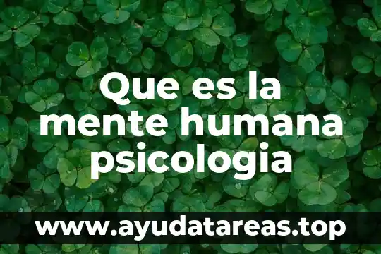 Qué es el duelo psicología y mente 3 Que es la mente humana psicologia
