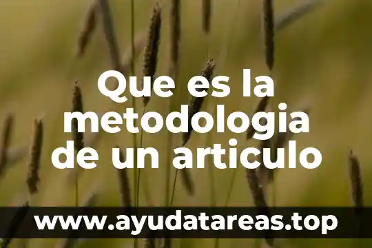Que es la metodologia de un articulo