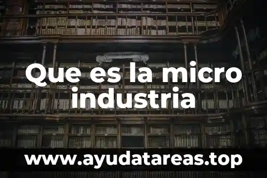 Que es la micro industria
