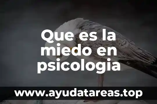 Qué es elogio en psicología 6 Que es la miedo en psicologia
