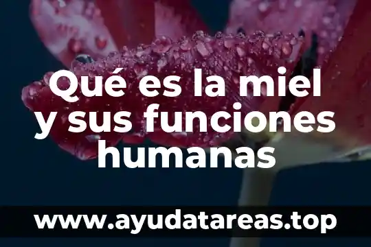 Qué es la miel y sus funciones humanas