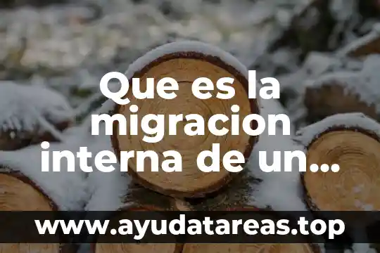 Que es la migracion interna de un pais