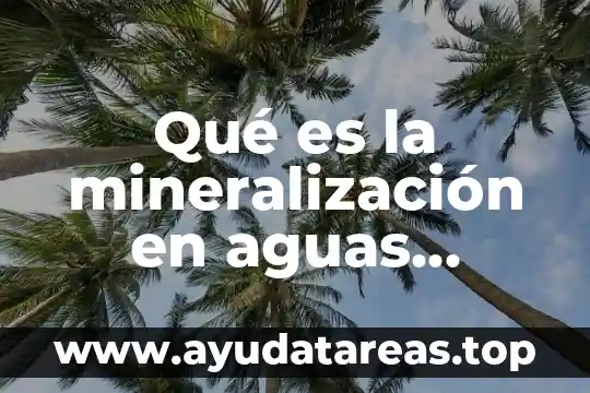 Trampa de grasas para tratamiento de aguas residuales que es 8 Qué es la mineralización en aguas residuales