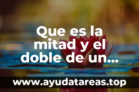 Para que es el número 228 8 Que es la mitad y el doble de un numero