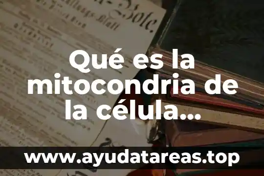 Que es el animal tijerillas 3 Qué es la mitocondria de la célula animal