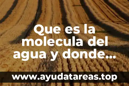 Define que es el punto isoeléctrico de una molécula 3 Que es la molecula del agua y donde se encuentra