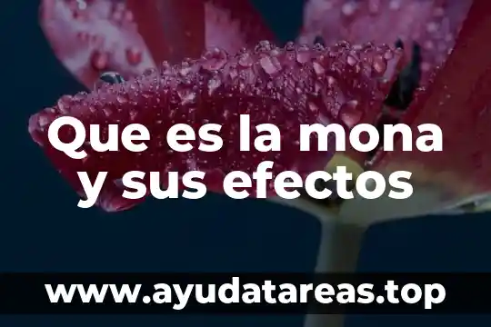 Que es ser democrata o republicano 6 Que es la mona y sus efectos