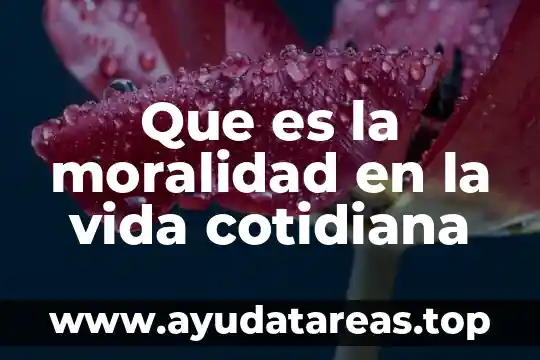 Por que es importante el agua en la vida diaria 8 Que es la moralidad en la vida cotidiana