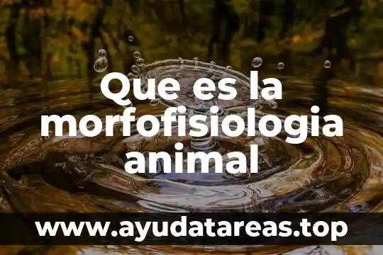 Muñecos que es animal de escuichi 5 Que es la morfofisiologia animal