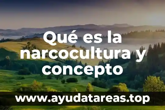 Que es concepto de estereotipo 6 Qué es la narcocultura y concepto