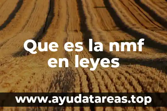 Que es la toma de conciencia con iniciativas y leyes 3 Que es la nmf en leyes