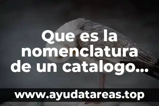 Código de nomenclatura que es 7 Que es la nomenclatura de un catalogo del fabricante definición