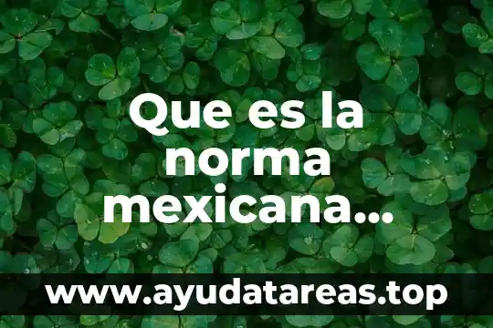 Que es la norma mexicana nmx-r-025-scfi-2015