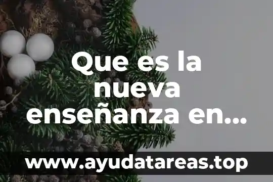 Que es la nueva enseñanza en aprendizaje