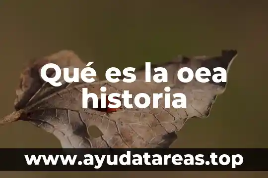 Qué es la oea historia