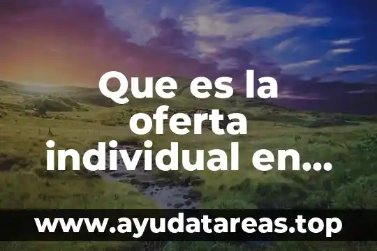 Que es la oferta individual en economia