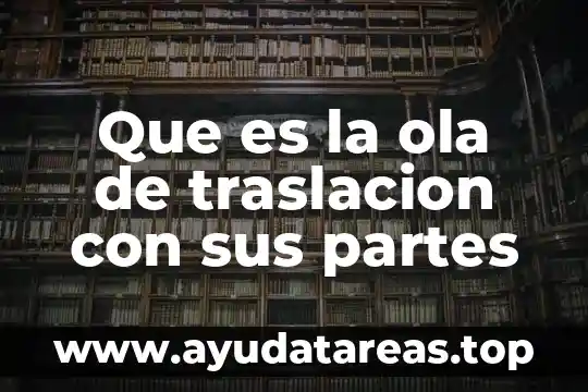 Que es la ola de traslacion con sus partes